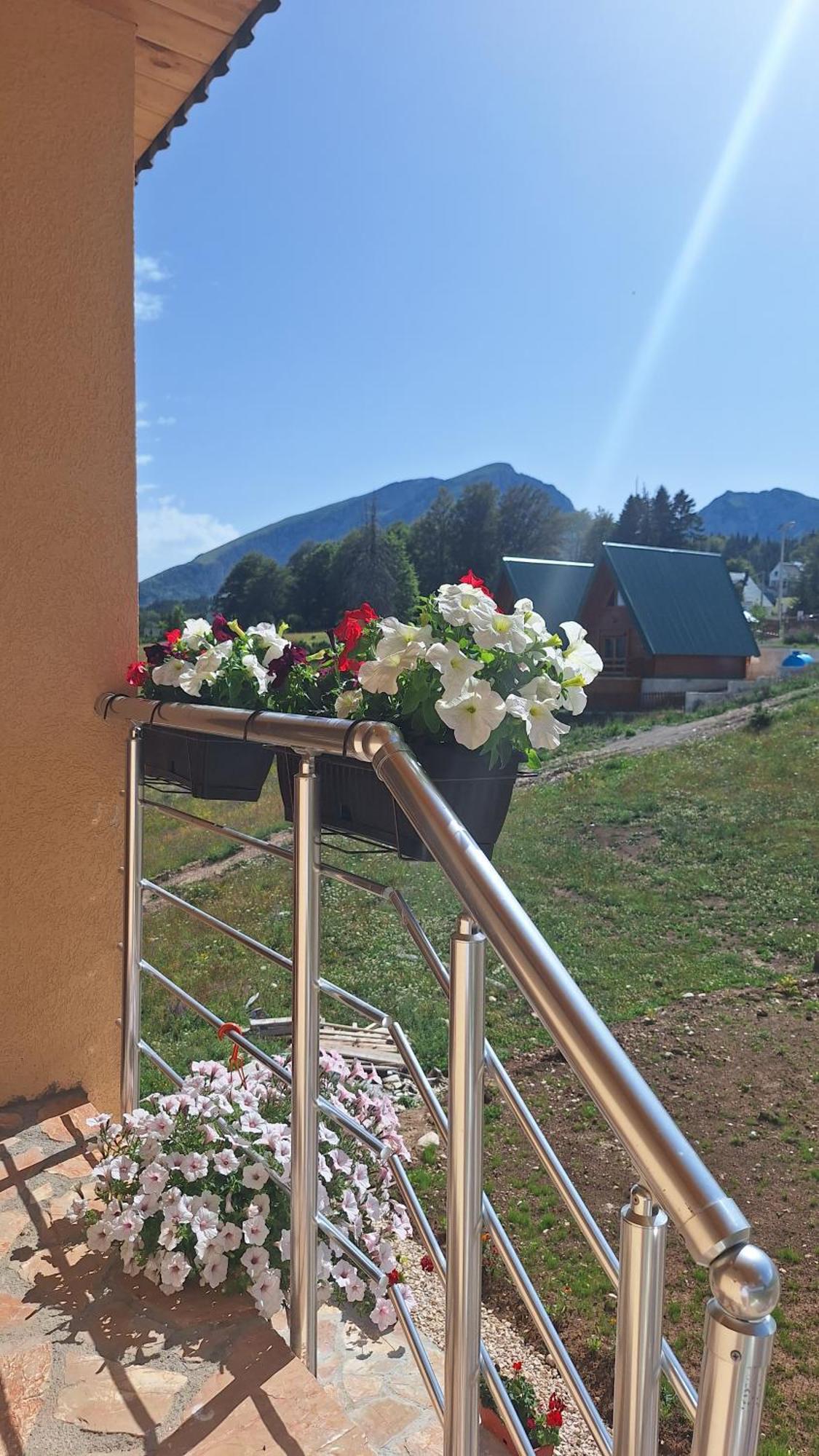 Apartments Orchidea Žabljak Dış mekan fotoğraf