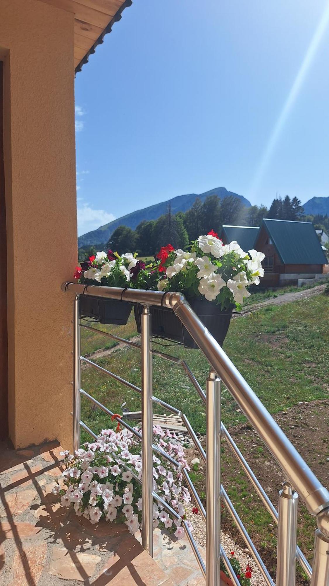 Apartments Orchidea Žabljak Dış mekan fotoğraf